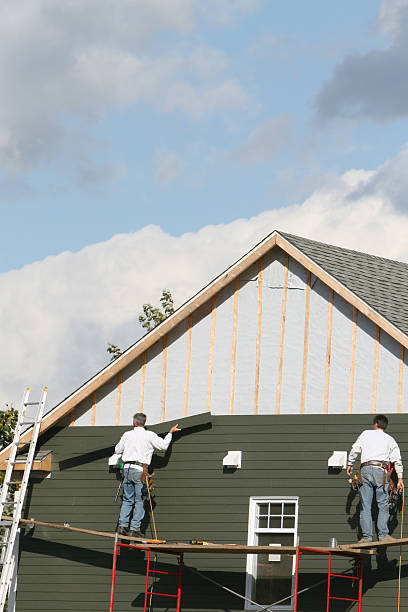 Best Custom Trim and Detailing for Siding  in Mebane, NC